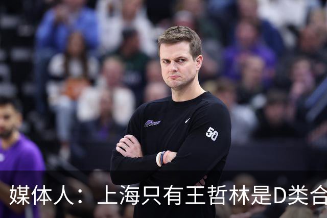 媒体人：上海只有王哲林是D类合同 剩余两个顶薪或给张镇麟李弘权