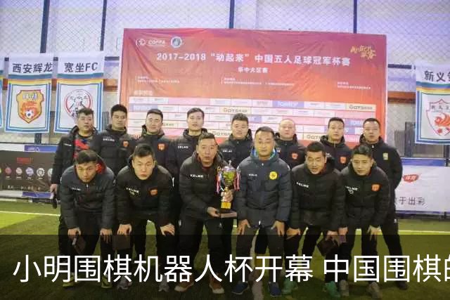 小明围棋机器人杯开幕 中国围棋的“家底”藏不住了