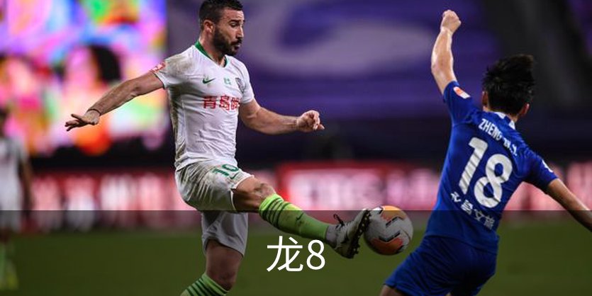 龙8介绍